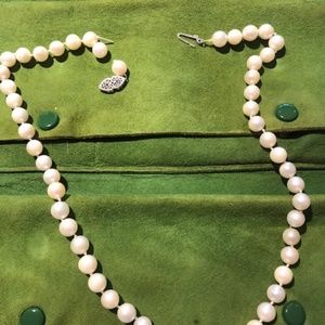 Meet your Posher, Lori